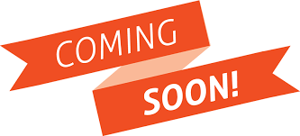 residential flat appartment house to rent let buy sell sale chatham rochester kent medway gillingham  rainham furnished unfurnished 2 bed bedroom garden off road parking studio flat 3 bedrood private landlord letting agent estate agent longterm shortterm property 